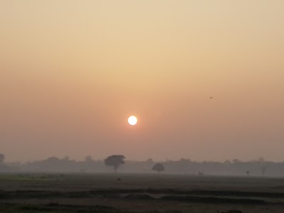 Photos of কুতুব্দী সরকার বাড়ী জামে মসজিদ