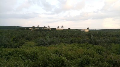 Photos of Ghana Oil Palm Development Company