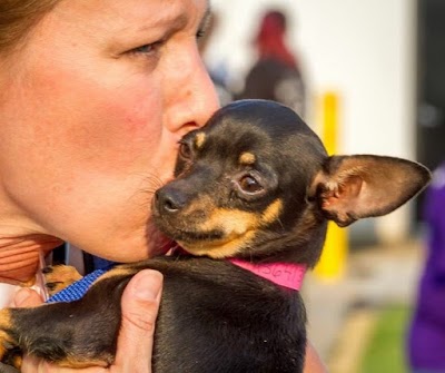 The Big Easy Animal Hospital