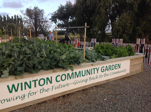 Winton Community Gardens - Thumbnail