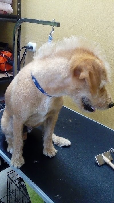 Photos of SanaPet peluquer&iacute;a & pet shop