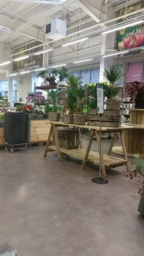 Dobbies Garden Centre Inverness - Thumbnail
