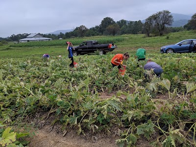 The Farm At Sunnyside