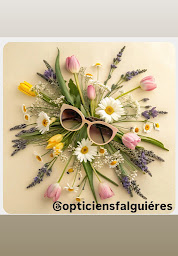 Photo n°9 de Les opticiens Falguiéres - Opticien Montaigu à Montaigu-Vendée (Magasin de lunettes de soleil)