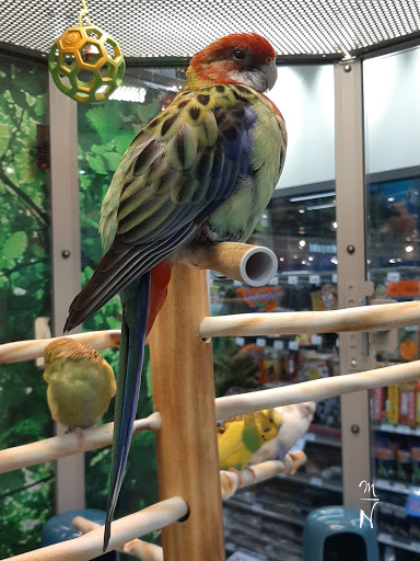 Petco Jardines del Pedregal - Thumbnail