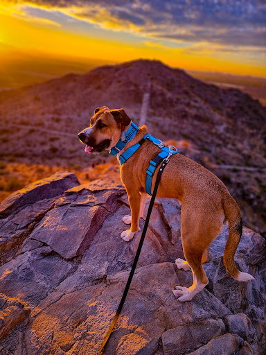 Bradley Peak - Thumbnail