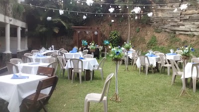 Photos of Kasuarinas