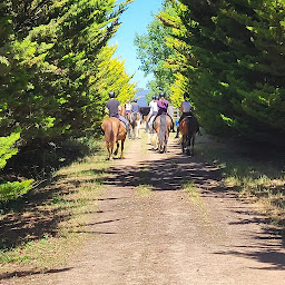 Photo n°10 de CLUB HIPPIQUE ARGENTONNAIS à Genneton (Centre équestre)