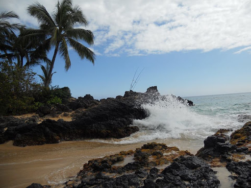 Travel2Unwind DreamVacations - Thumbnail