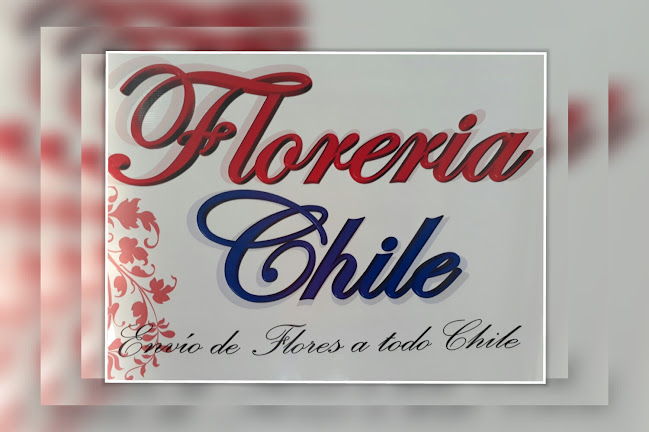 Opinii despre floreria chile în Recoleta - Floristería