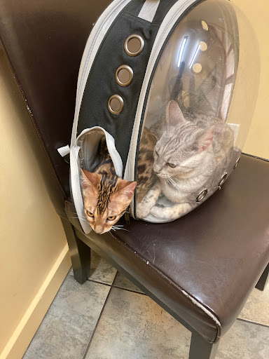 Mid-Isle Veterinary Hospital - Thumbnail