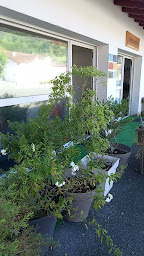 Photo n°1 de Centre Aiyana à Saint-Martin-d'Arrossa (Ostéopathe)