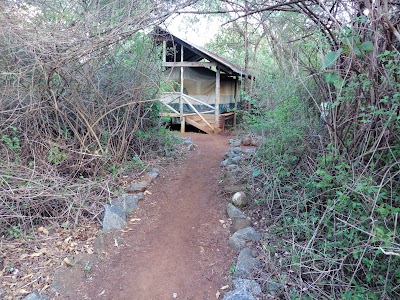 Photos of Camp Malta