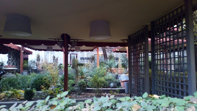 Mezzo Classic House Club