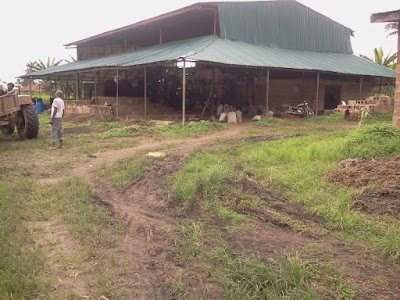 Photos of Item Agri-Industrial Enterprises Ltd Benderloch L.G.A Abia State