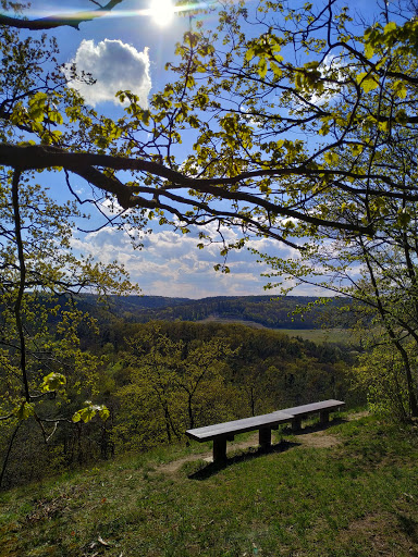 Thüringer Blick - Visual