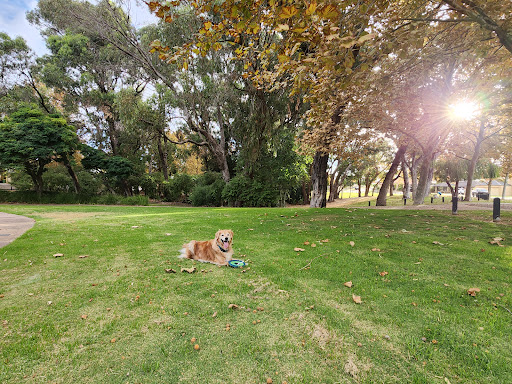 Lakewood Shores Park Gallery - Australia