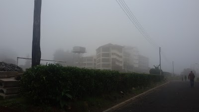university