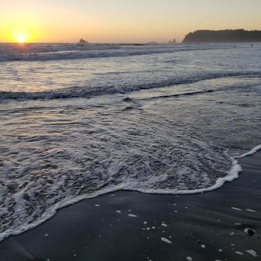 Olympic National - Thumbnail