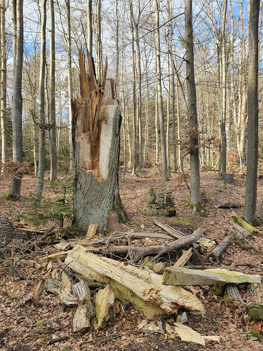 Steinerne Gesellen - Visual
