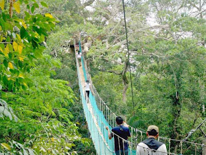 Tambopata Reserve tours 2