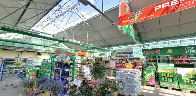 Centrum Ogrodnicze Majewscy - Legnica