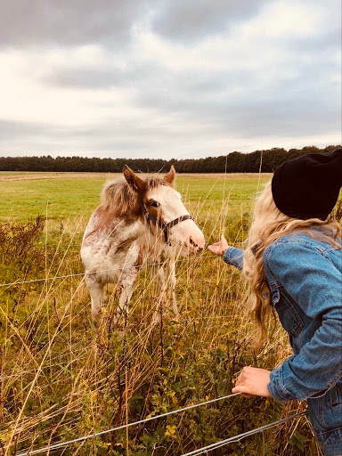 Outdoor Life And Beauty