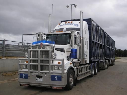 Transedel Livestock Carriers - Thumbnail