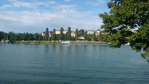 Port de plaisance - Fuchs Hafen - Marina sur l'Île du Rhin Gallery - France