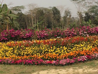 Photos of Mizan Garden