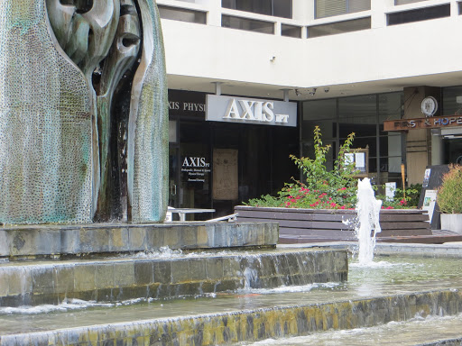 AXIS PT - Visual