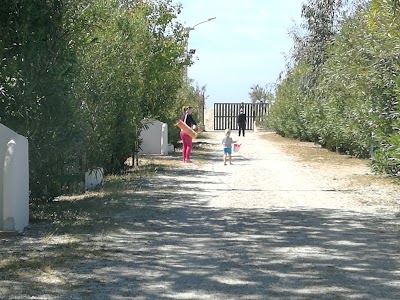Photos of Alba