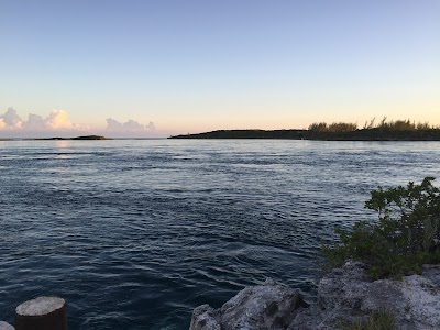 Photos of Current