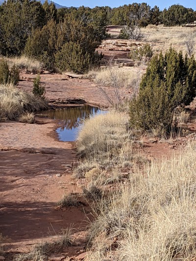 Abo Ruins Salinas National Monument Historical