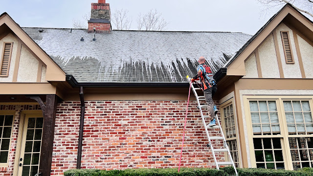 Photo of Nashville Roof Cleaning & Pressure Washing in  - Top-rated Pressure Washing Service near me.