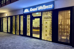 Grand Wellness image