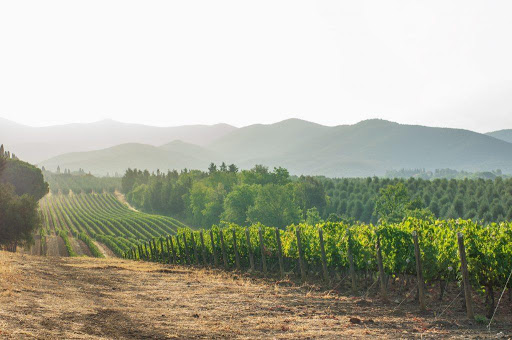 Cantina delle Fate