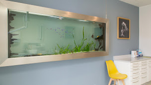 Photo n°4 de Dr Quentin Daquet à Lille (Radiologie dentaire)