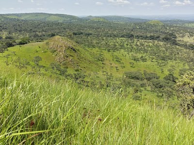 Photos of Ruvubu National Park
