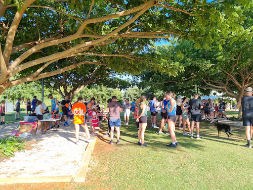 Town Beach parkrun - Thumbnail