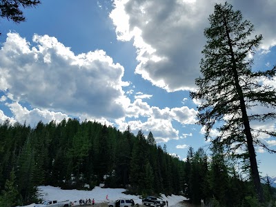 Shoshone Park Kitchen