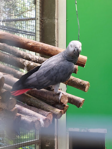 Vogelpark Eggenstein-Leopoldshafen Gallery - France