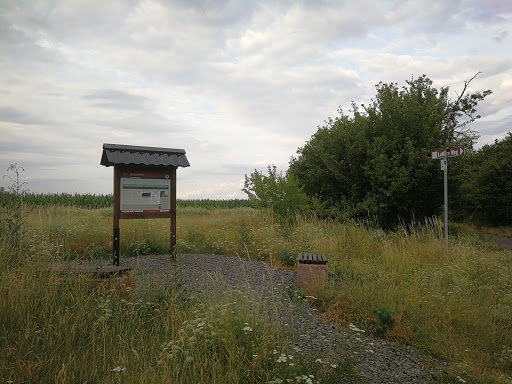 Geopark am Friedrichsberg - Thumbnail