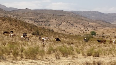 Photos of RANCHO DE ELVIS ILLAPEL - CHILE