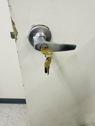 Locksmith Lion - Visual
