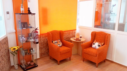 Maite Ferrándiz Estética y Terapia energética