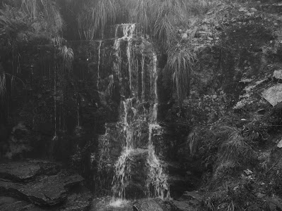 Photos of Mataredonda Park