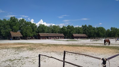 Photos of Liberty Ranch កសិដ្ឋានចិញ្ចឹមសេះ