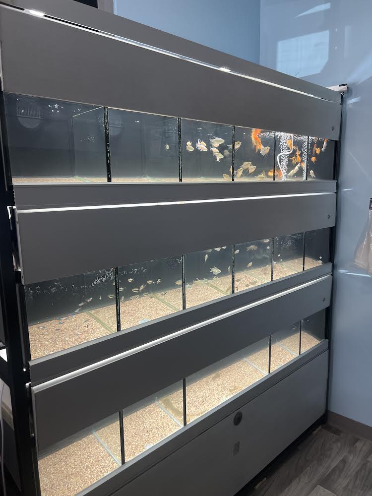 5B Aquariums Supplies