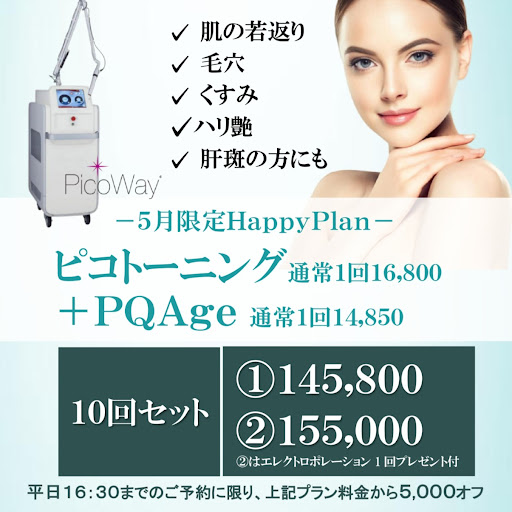エレクトロポレーション 料金表 │美容皮膚科・皮膚科/志保日比谷皮膚